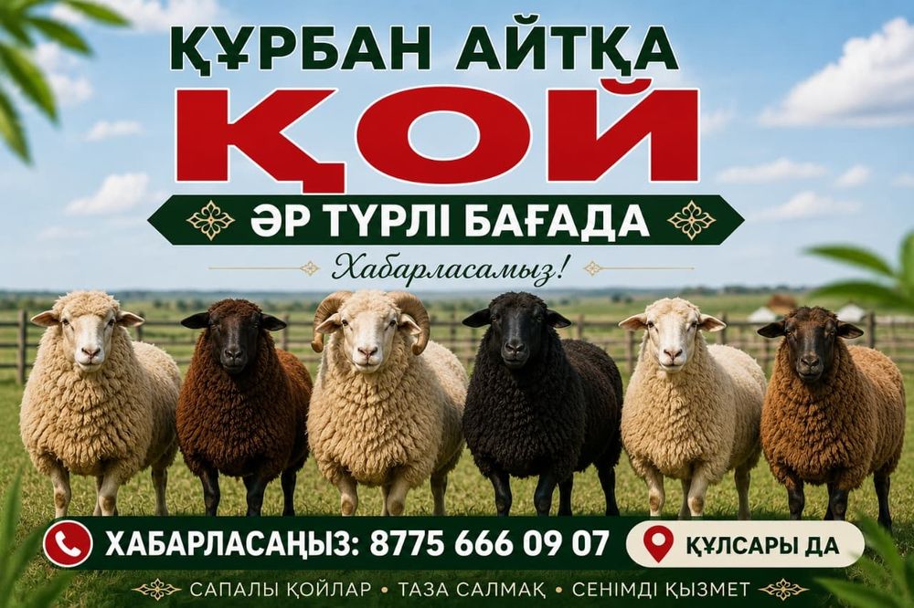 Қой сатылады тұсақ