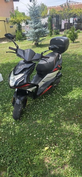 Sinsto R8 2017 50