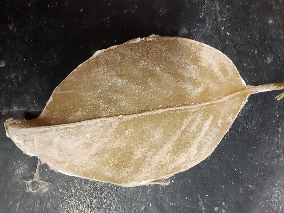 скулптурни услуги