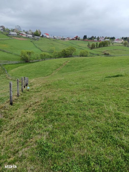 Teren 6000mp Măguri-Răcătău, pârâu, utilități. Schimb Florești