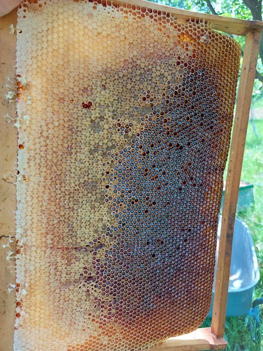 Miere 100% naturala.
Miere de salcâm 35 lei kg 
Miere de tei 30 le