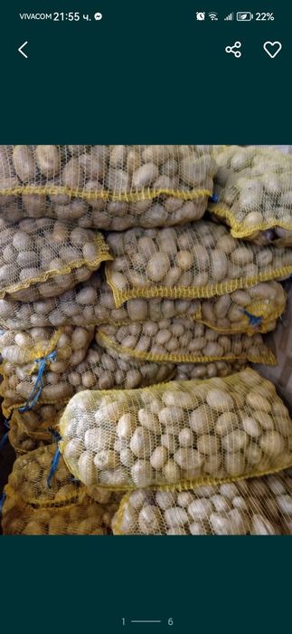 Продавам Семена  клас А