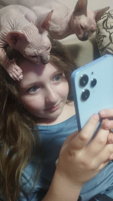 Девочка донского сфинкса черная