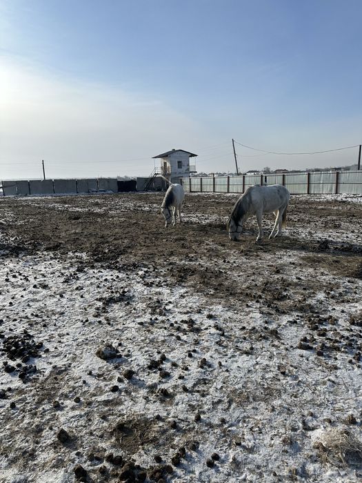 Продается баз не далеко от города