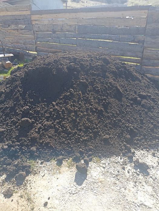 Pamant , pamant vegetal negru