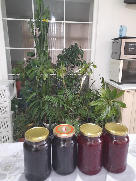 Домашние варения