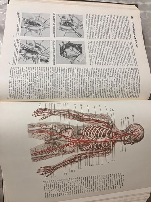 Медицинская энциклопедия