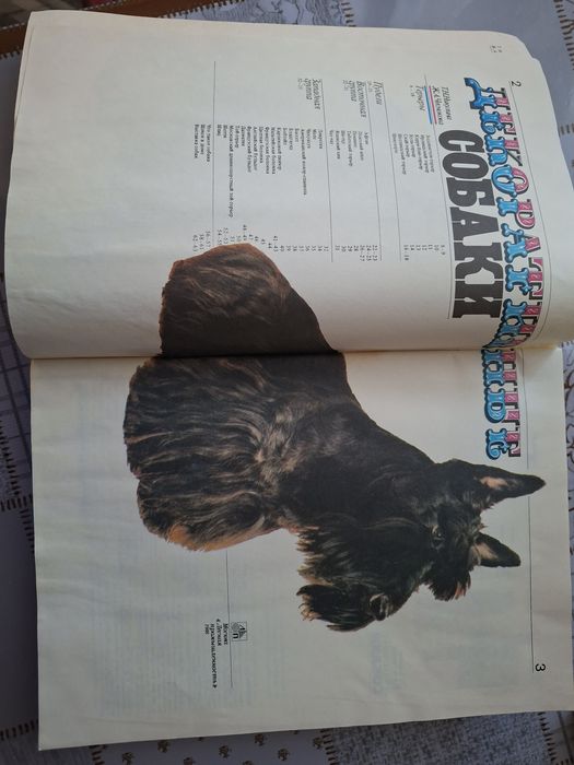 Продам книги всё про собак