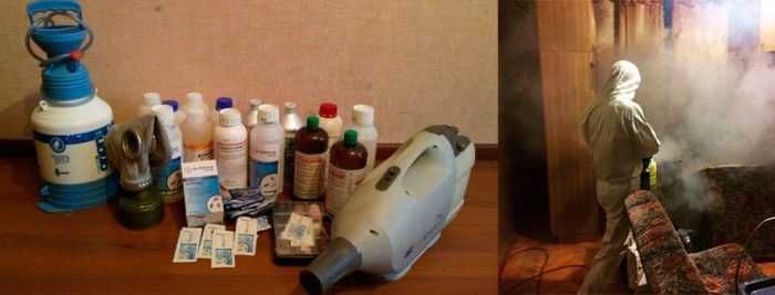 Двойная обработка в один день  добросовестно результат  Сергей (опыт).