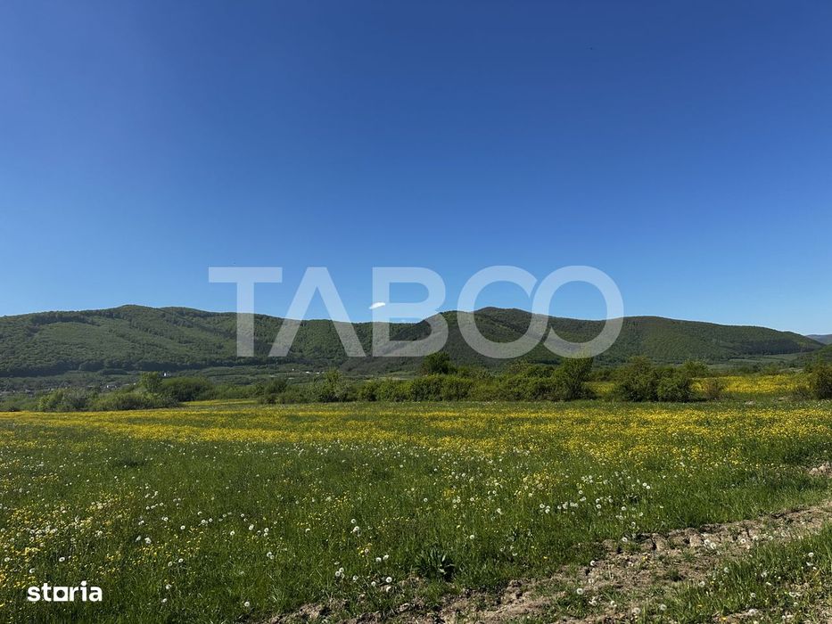 Teren intravilan pretabil cabana cu vedere la munti in Poplaca