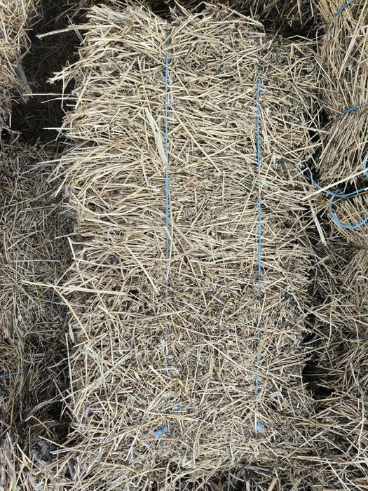 Vând baloți lucernă