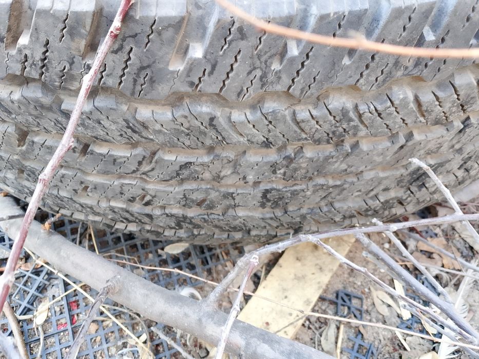 Шины одиночки на 16