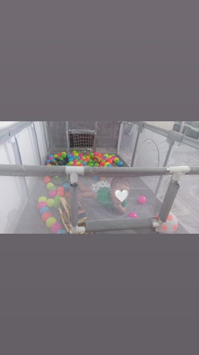 Bolalar Maniji sotiladi