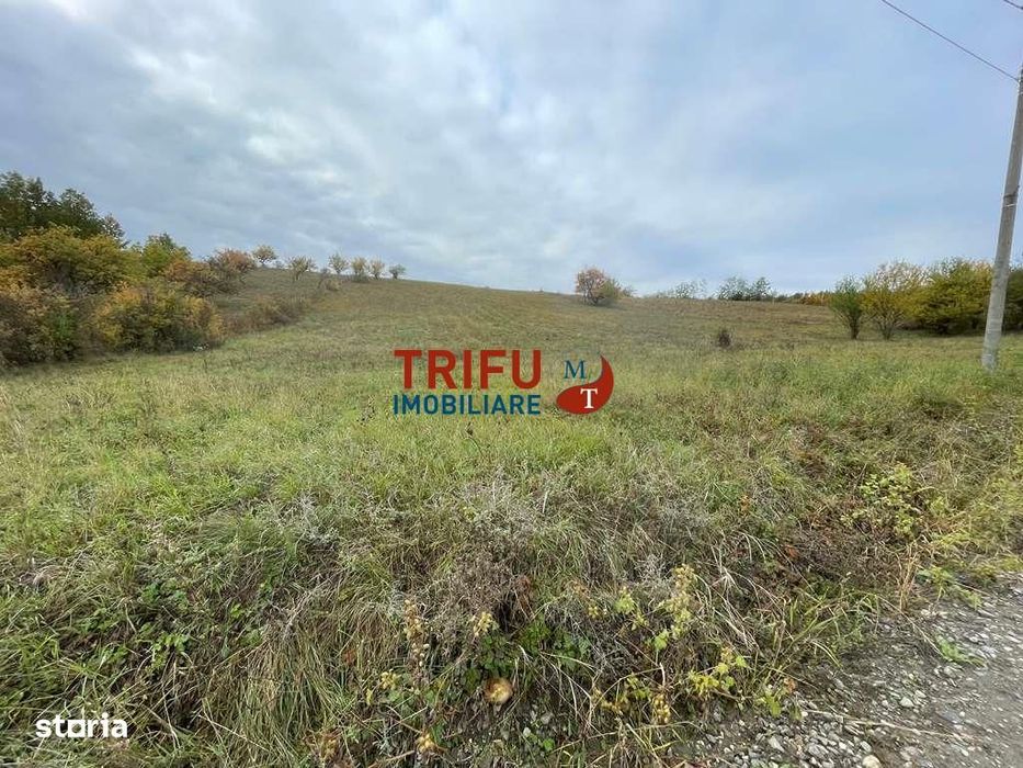 Teren intravilan cu dubla deschidere zona Cetate