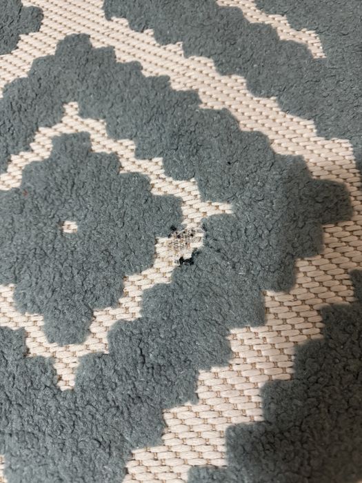 Covor 280•200 Negociabil