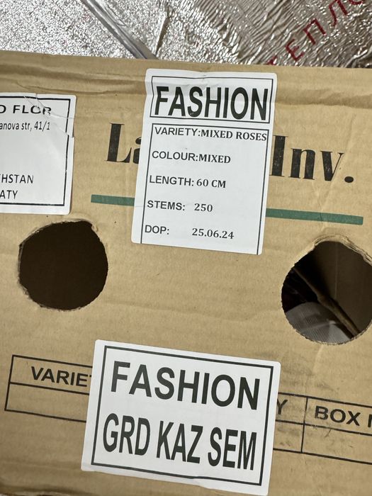 Розы  оптом