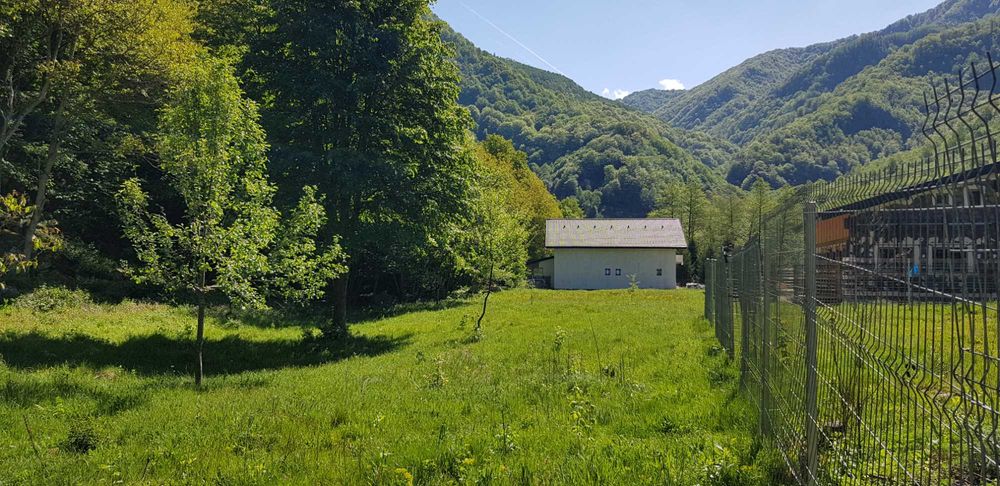 Teren Râul Mare - Retezat