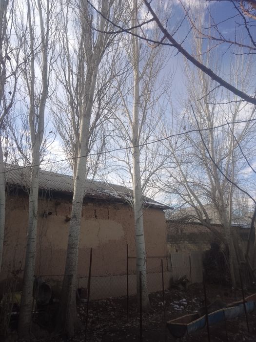 Тераклар сотилади