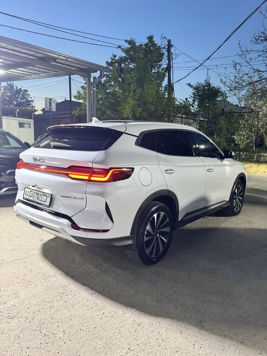 BYD chempion Gibrit 2026