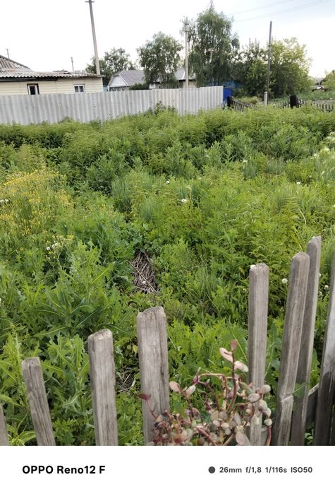 Продам земельный участок с домом