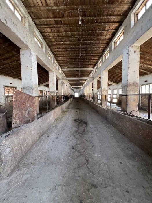 Yer sotiladi, 4 gektar (4500$)