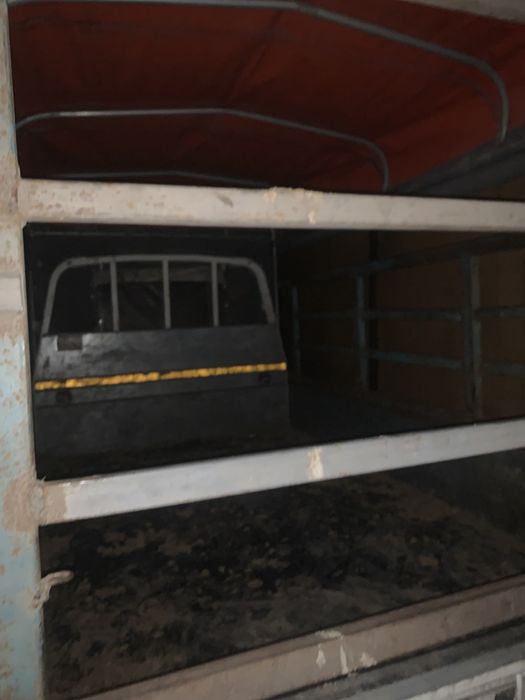 Перевозка КРС, лошадей, мрс