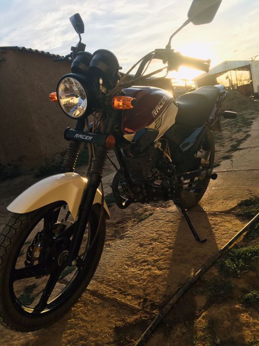 Racer tiger рейсер тигр