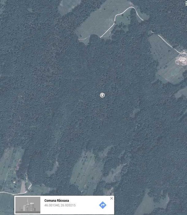 10ha padure Racoasa Vrancea