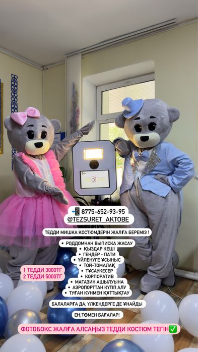 Аю, тедди мишка аренда