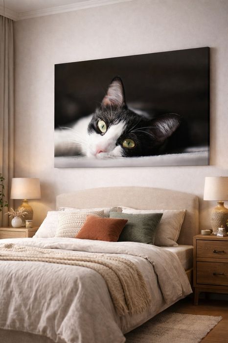 Фотограф за котки | Фото портрет на домашен любимец + канава