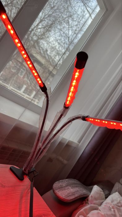 Уф лампа для растений