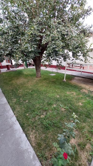 Участка сотилади яшнобод туманида 8 сотик