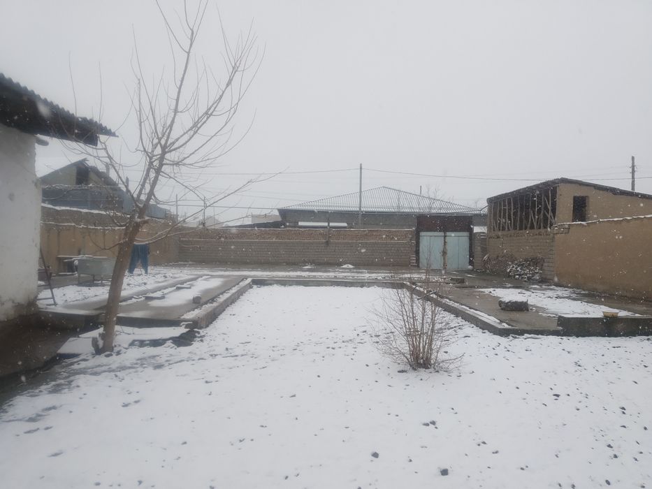 Sergili tumanida Yer sotiladi