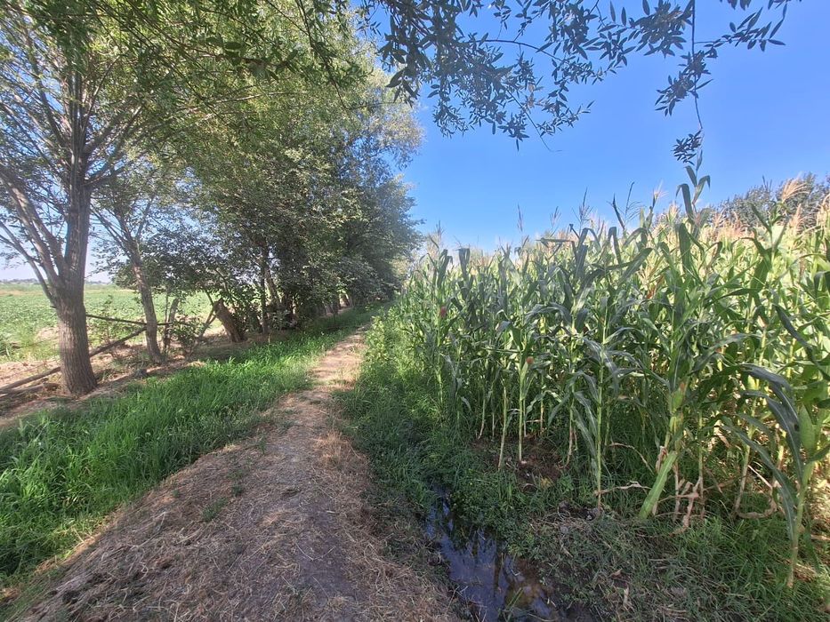 Продам дом, яхши жойда жойлашган