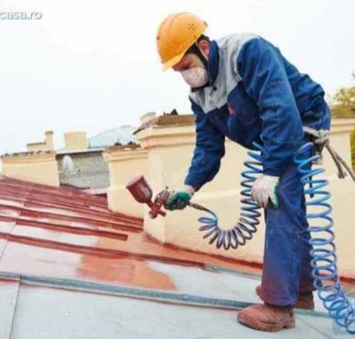 Meserias vopsitor utilitar pentru acoperisuri, reparatii, confectionari