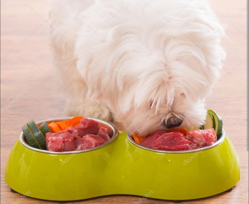 Натуральная еда для ваших животных!