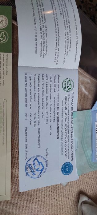 Алабайчета 1 мъжко и 2 женски свободни