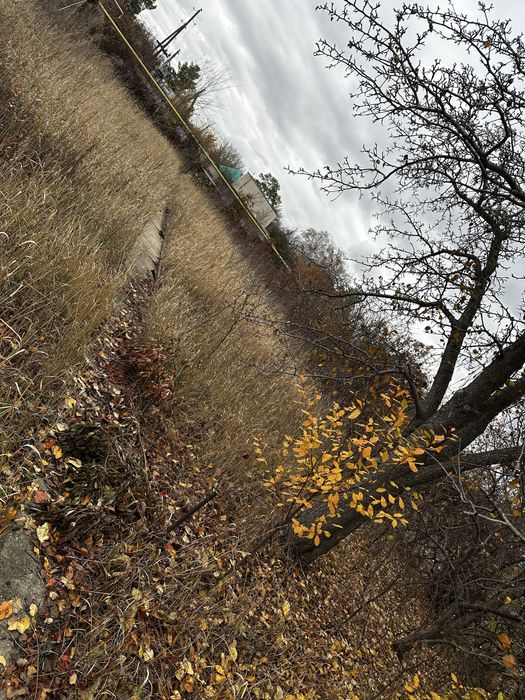 Продам дачный участок