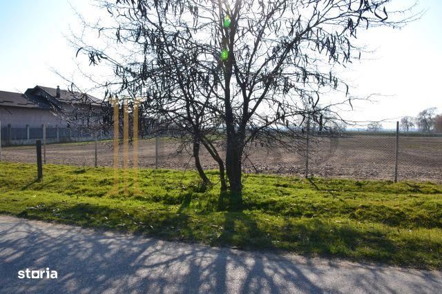 Vanzare Teren intravilan, 5600 mp in Mircea Voda - Dambovita.