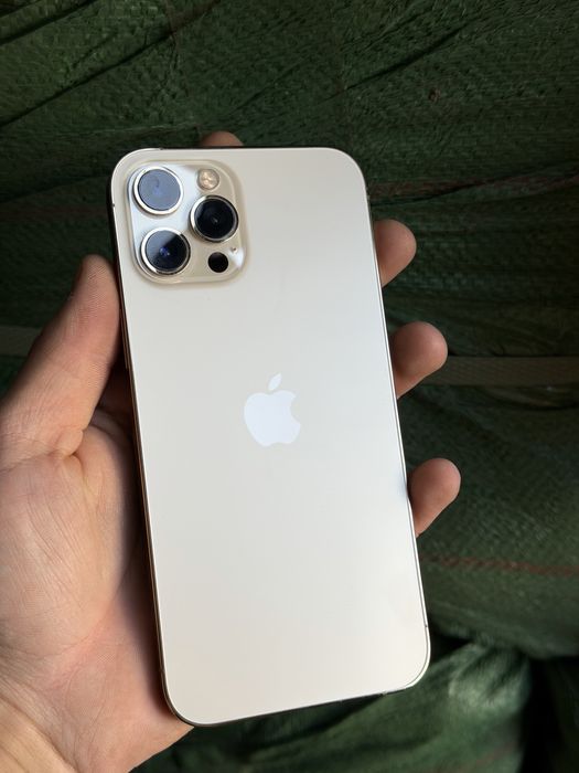 iPhone 12 Pro Max