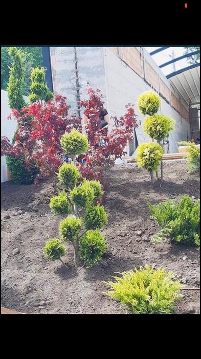 Amenajări curți grădini