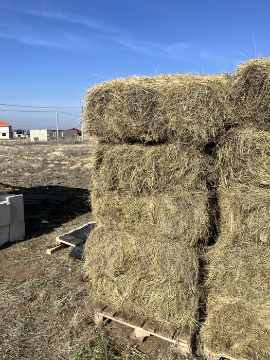 Продам сено 400тг за тюк