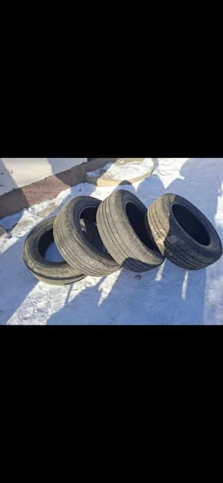 Резина от шарана