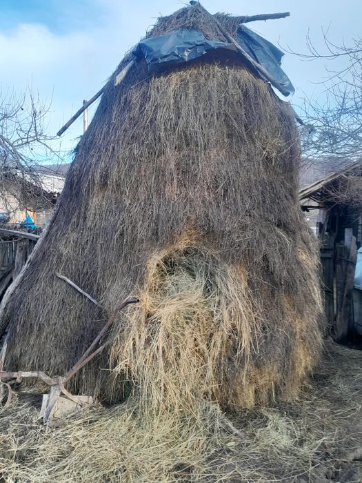 Fan de vanzare beleti județul Argeș