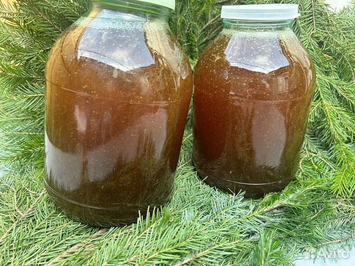 Продам горный мед.
