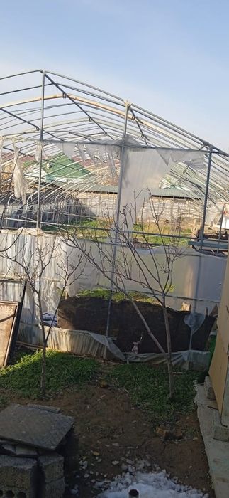 Теплица в хорошем состояние