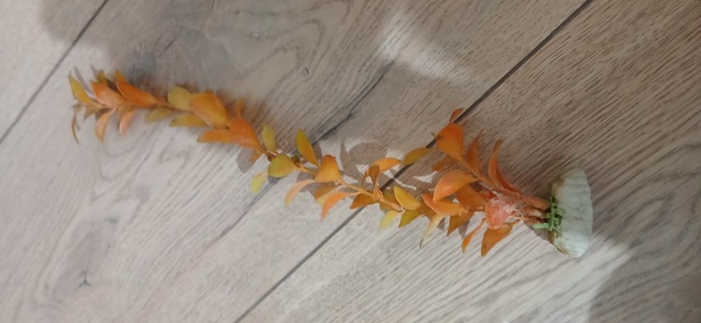 Продам декораций для аквариума