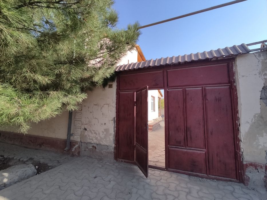 Xazora katejdan katej sotiladi
6 сотих нархи 400 000