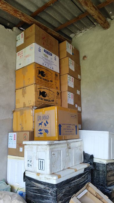 Термабокс сатылады