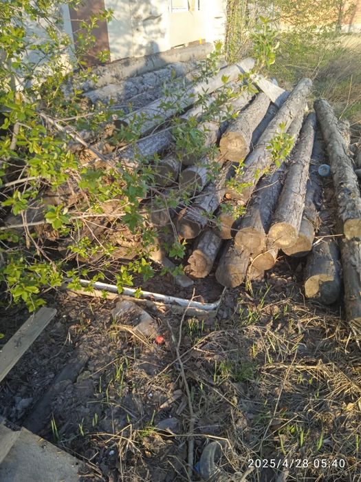 Продам бревна сухие